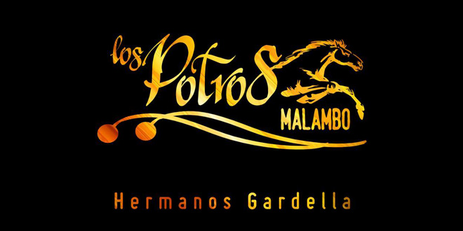 contratar a los potros, malambo