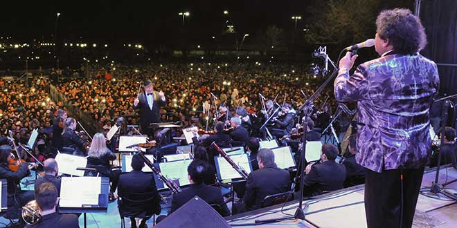 contratar a los palmeras