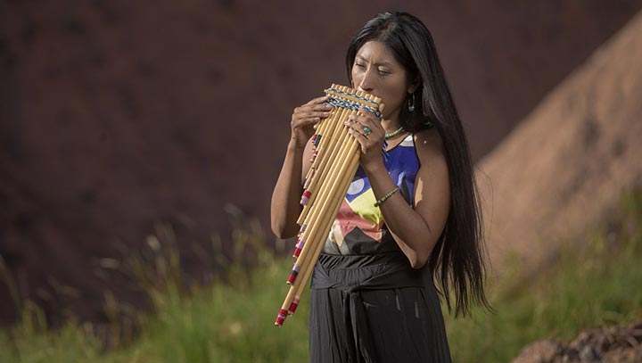 contratar a micaela chauque