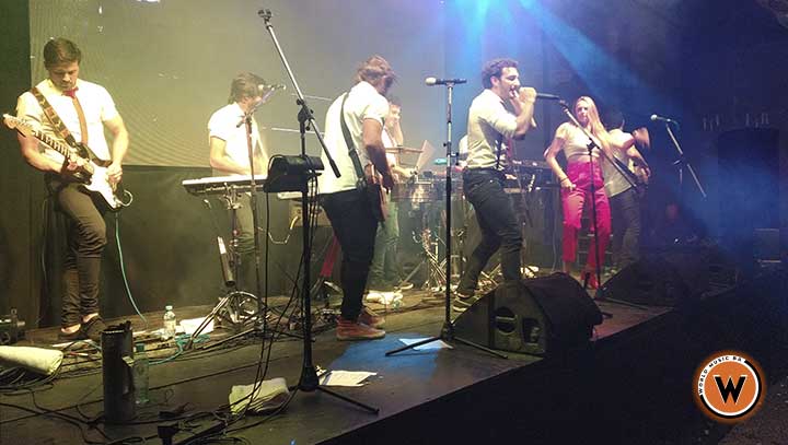 contratar a agapornis