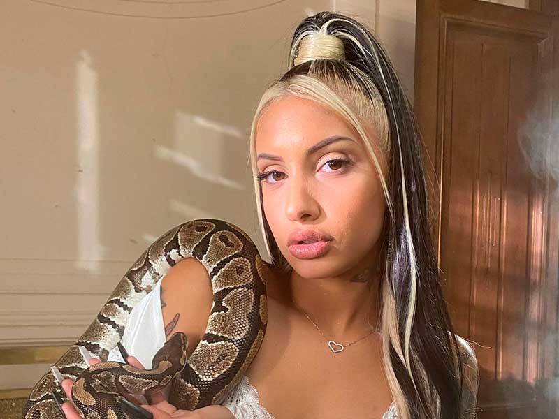 contratar a dakillah