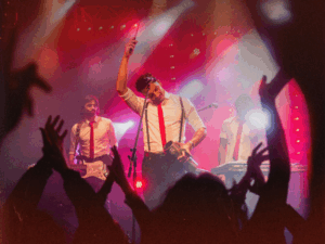 Agapornis 14 Agapornis 7