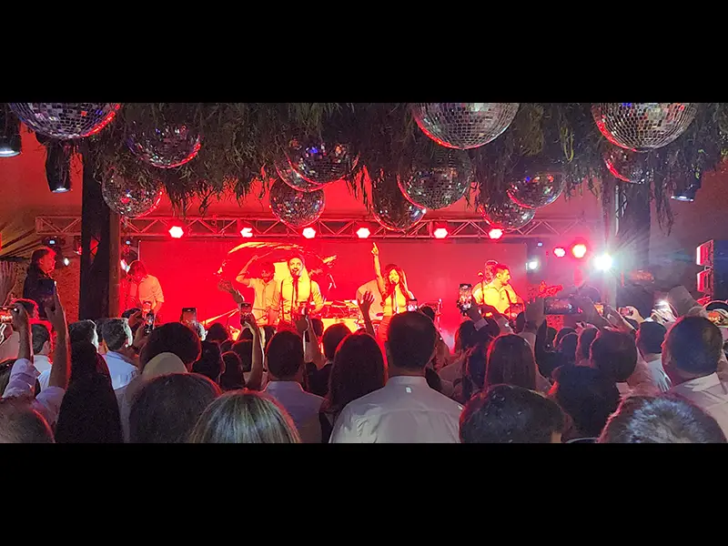 Agapornis en Jujuy