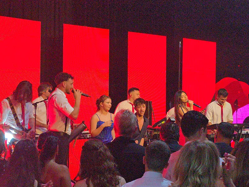 Agapornis en los 15 de Milena